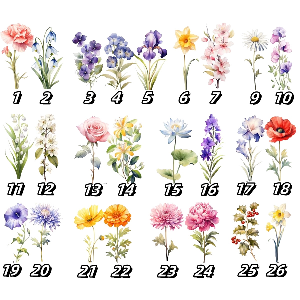 IMG-PRODUCT